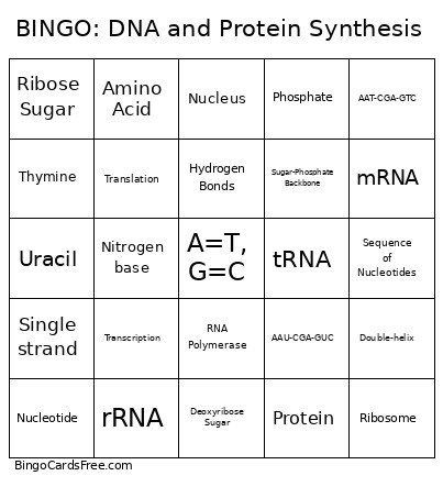 : DNA And Protein Synthesis Bingo Card
