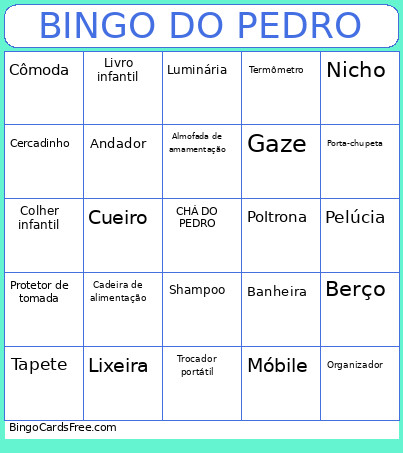 DO PEDRO Bingo Card