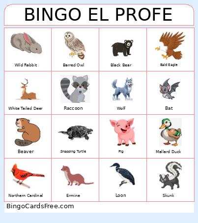 BINGO EL PROFE