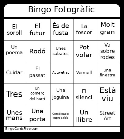 Fotogrà fic Bingo Card