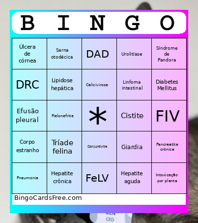 FRIENDS Bingo Card
