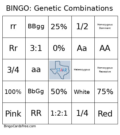 : Genetic Combinations Bingo Card
