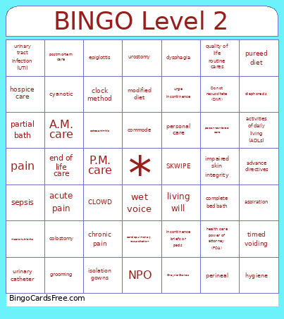 Level 2 Bingo Card