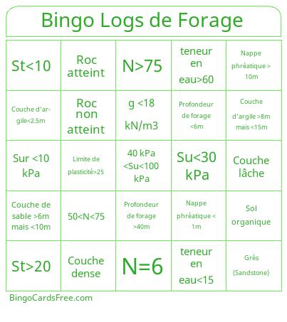 Bingo Logs de Forage