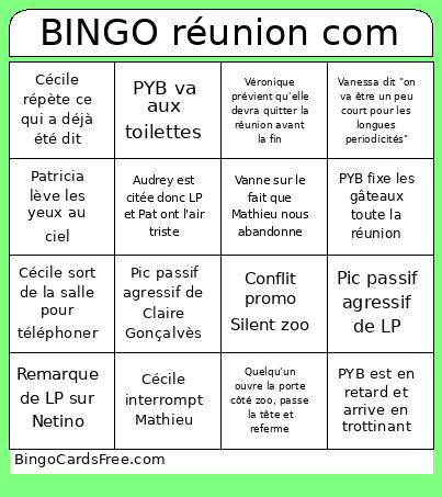 Réunion Com 26/11 Bingo Card