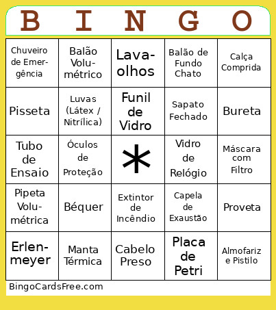 Segurança Bingo Card