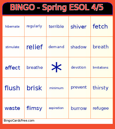 - Spring ESOL 4/5 Bingo Card