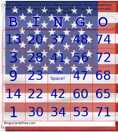 USA 1-75 Number + Audio Bingo Card
