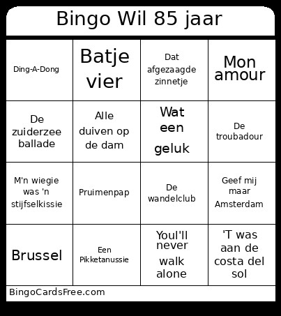 Wil 85 Jaar Bingo Card