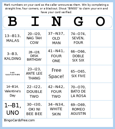 HAN Bingo Card