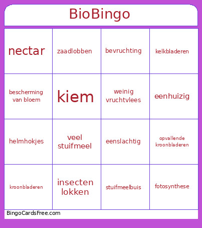 Bio Bingo Card