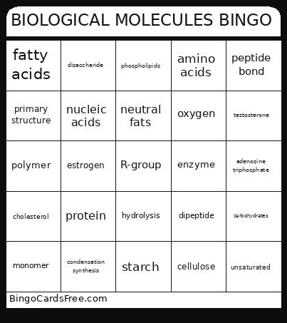 BIOLOGICAL MOLECULES BINGO