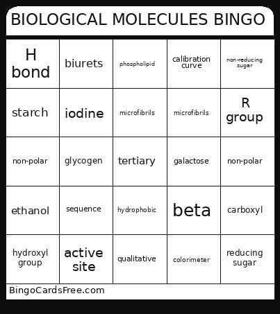 BIOLOGICAL MOLECULES Bingo Card
