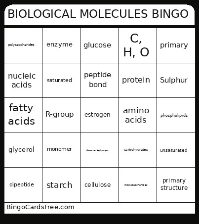 BIOLOGICAL MOLECULES Bingo Card