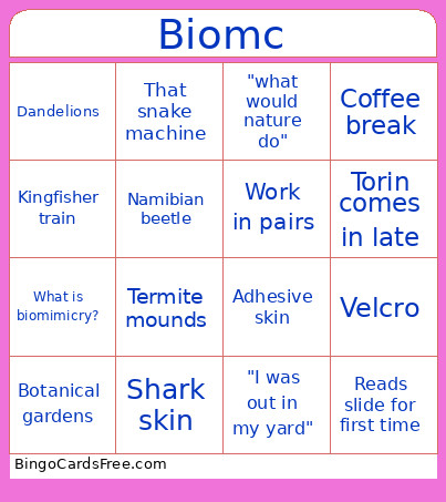 Biomimicry Bingo Card