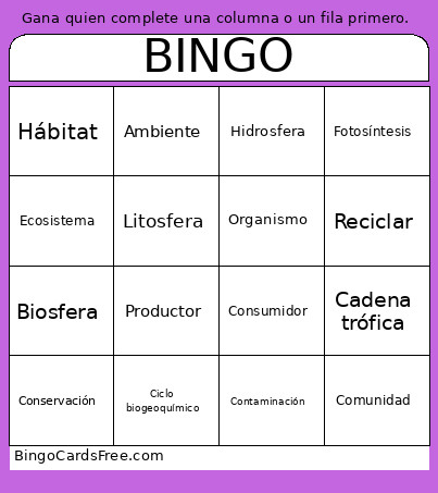 Biosfera Bingo Card