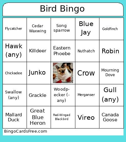 Bird Bingo