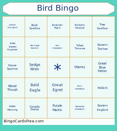 Bird Bingo