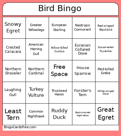 Bird Bingo Card