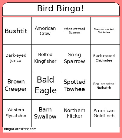 Bird ! Bingo Card