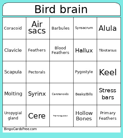 Bird Brain Bingo Card