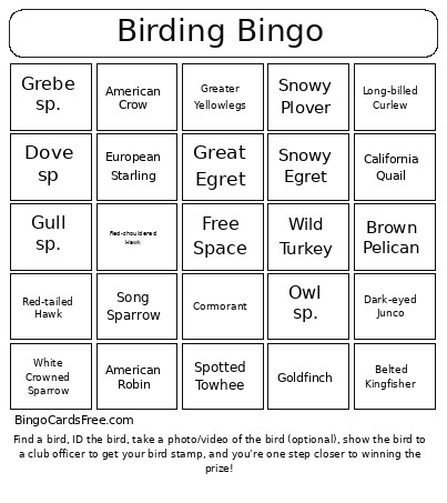 Birding Bingo Card