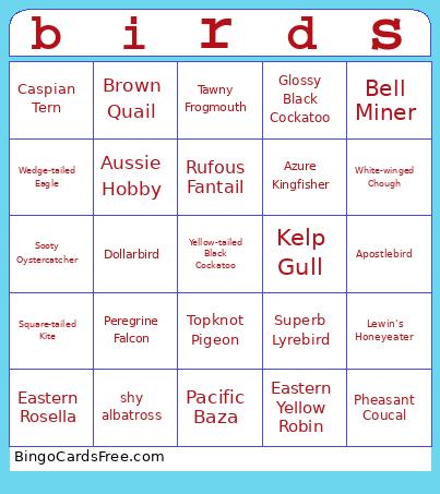 Birds Bingo Card 2