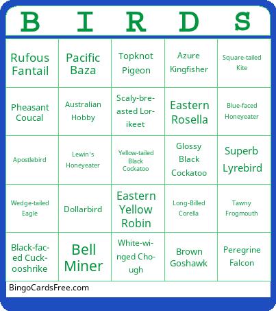 birds Bingo