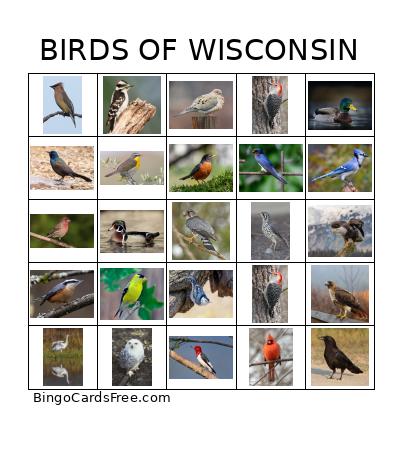 BIRDS OF WISCONSIN Bingo