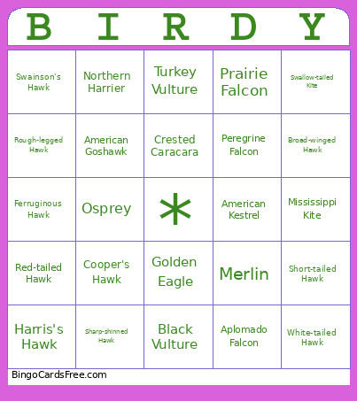 Birdy Bingo Card