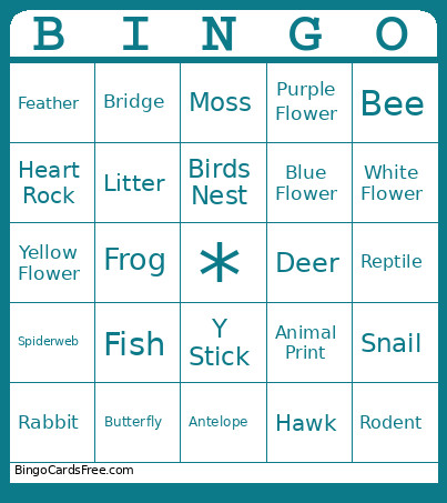 Black Hills Bingo Card