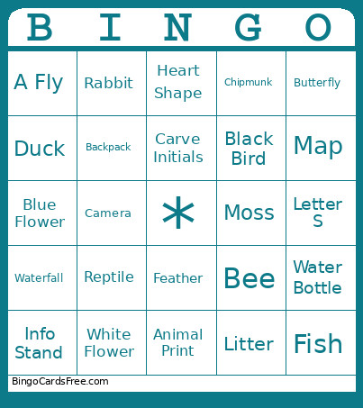 Black Hills Bingo Card