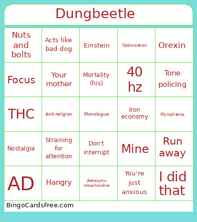 Black Hole Conversations Bingo Card