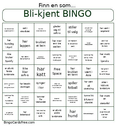 Bli-kjent Bingo Card