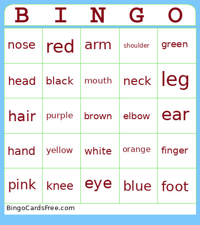 Body + Colors Bingo Card