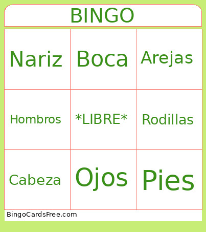 Body Parts Bingo Card