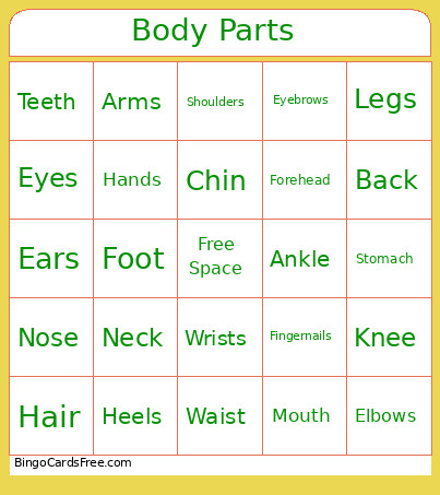 Body Parts Bingo Card
