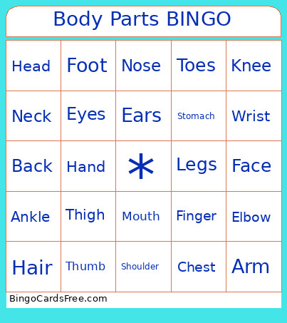 Body Parts Bingo Card