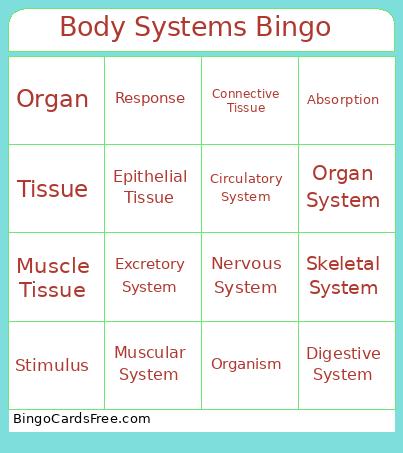 Body Systems Bingo  Cards Free Pdf Printable Game, Title: Body Systems Bingo 