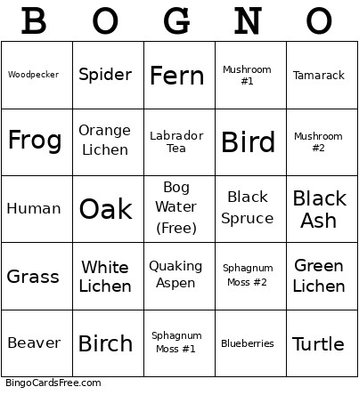 Bog Bingo Card