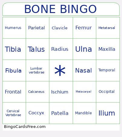 Bone Bingo Cards Free Pdf Printable Game, Title: BONE BINGO