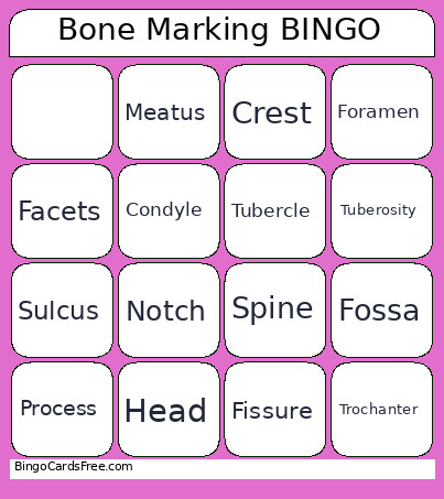 Bone Marking Bingo Card