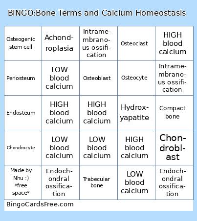 Bone Terminology and Calcium Homeostasis Bingo Cards Free Pdf Printable Game, Title: BINGO:Bone Terms and Calcium Homeostasis