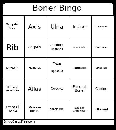 Boner Bingo Card