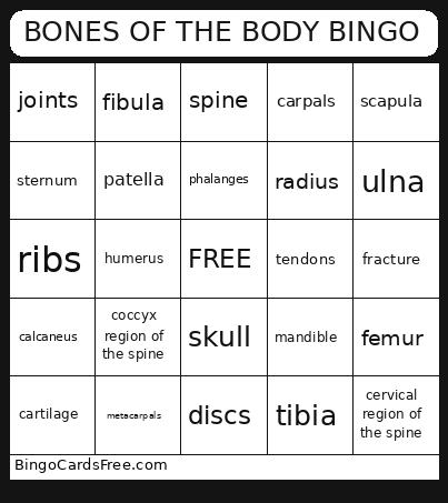 BONES OF THE BODY Bingo Card