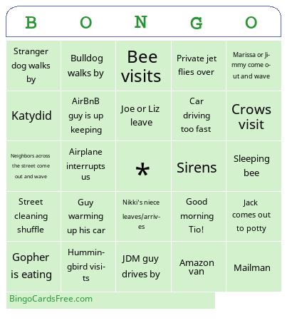 Bongo 1.01 Bingo