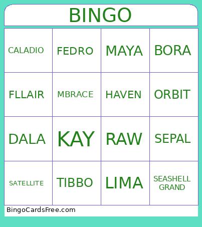 BOngo Bingo Card