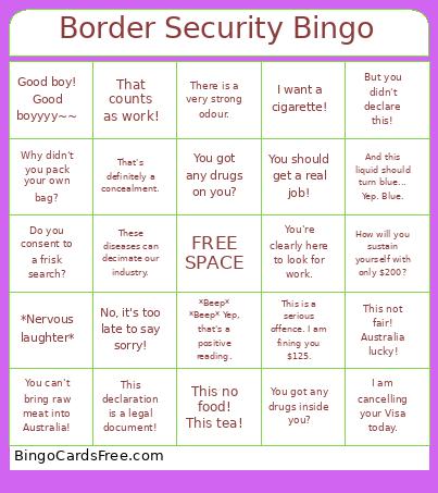 Border Security Bingo Card