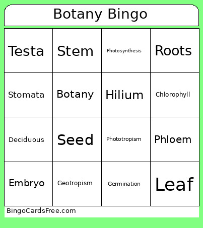 Botany Bingo Card