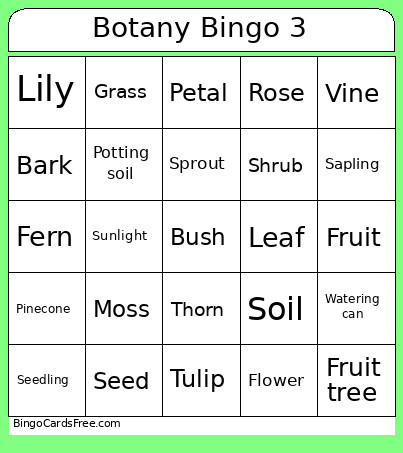 BOTANY 3 Bingo Card